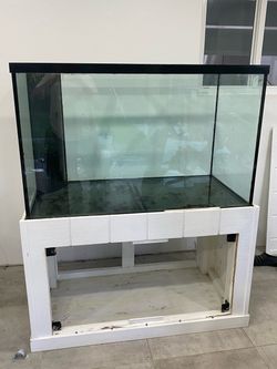 150 Gallon aquarium