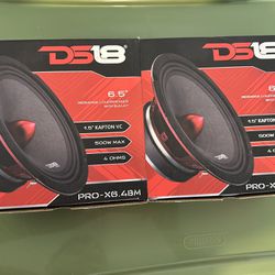 DS18 Door Speakers