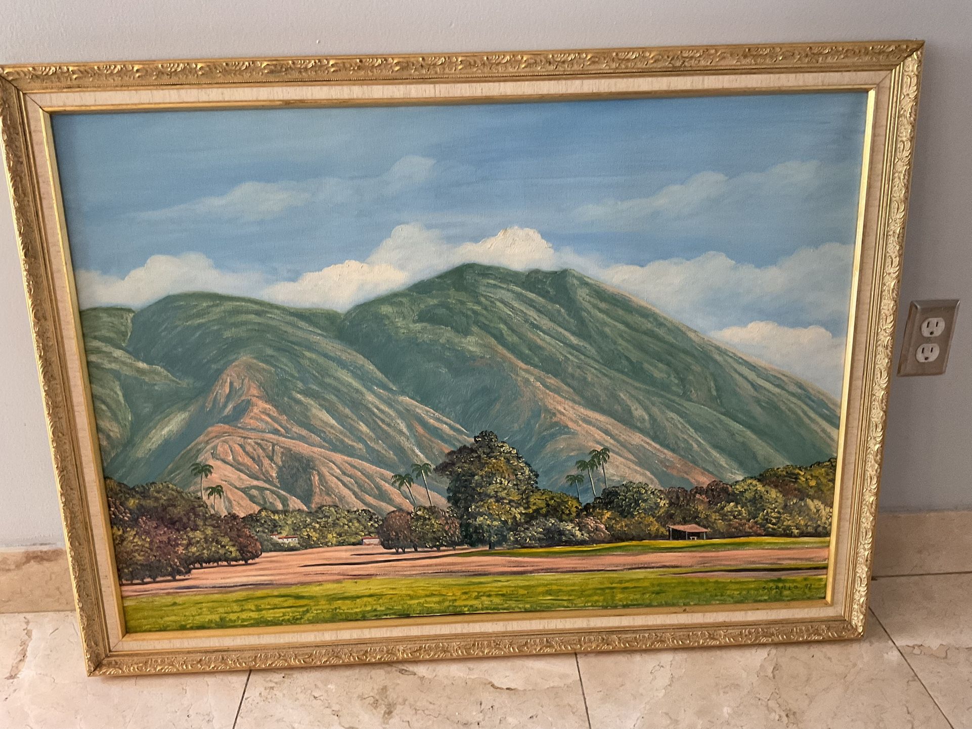 El Avila - Grillo Painting