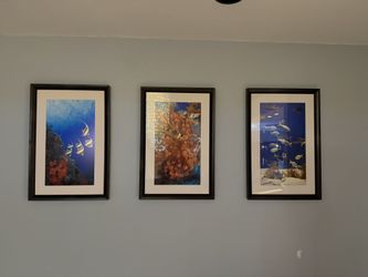 7 Gorgeous Brightly Colored Saltwater Fish Custom Framed Wall Art