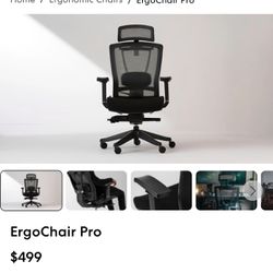 ErgoChair Pro