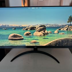 34” Computer Monitor