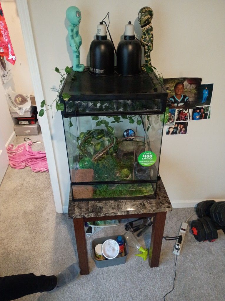 Chameleon /Reptile Cage 