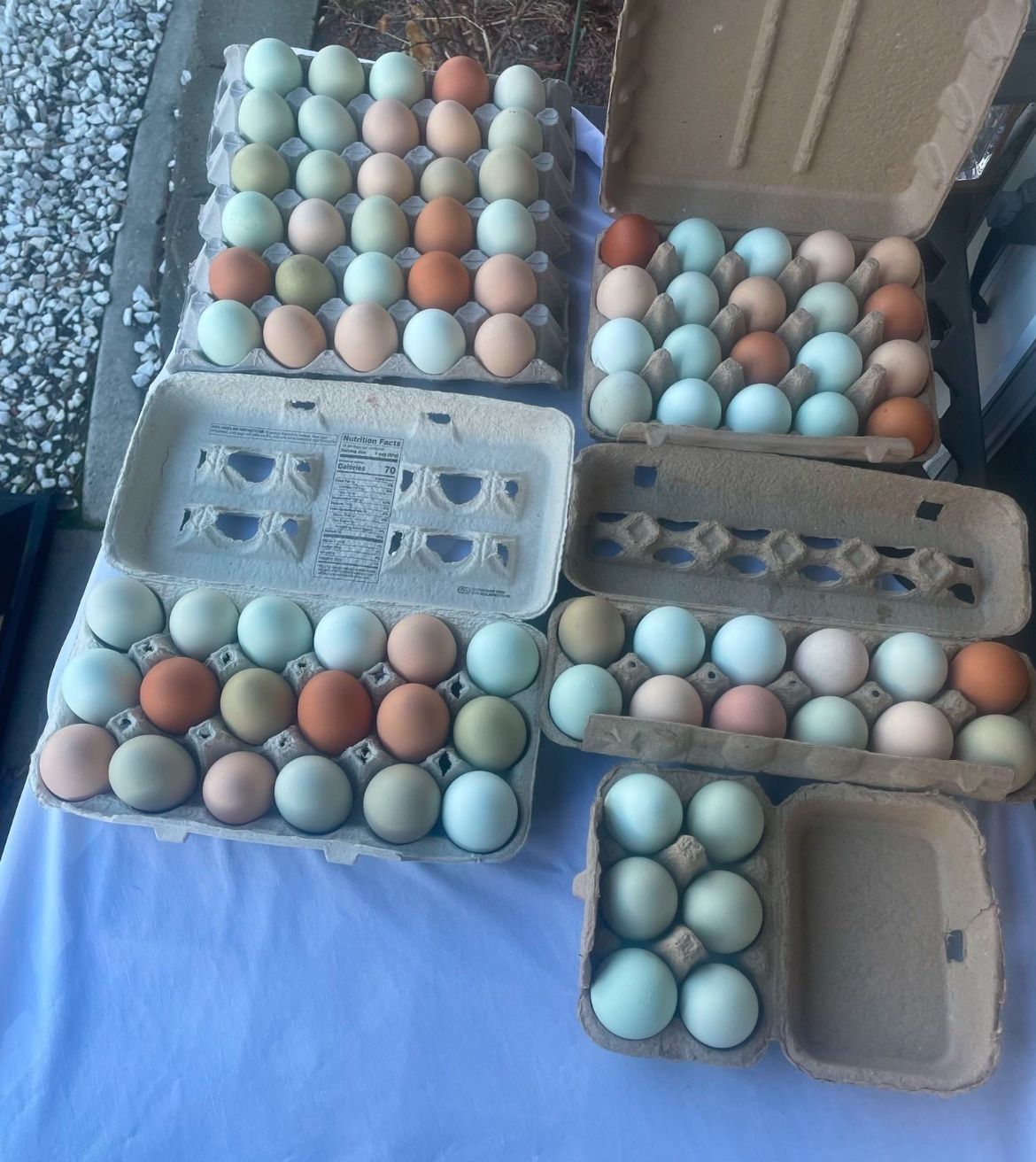 (12) One Dozen Free Range Eggs For Only $5.00