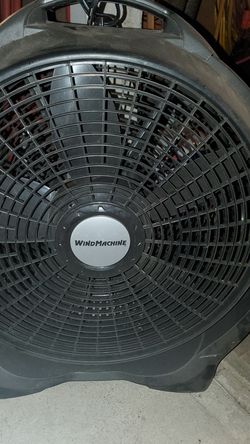 Fan