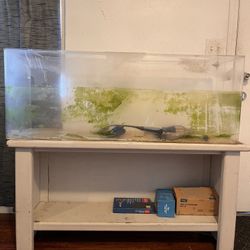 Big Fish Tank 