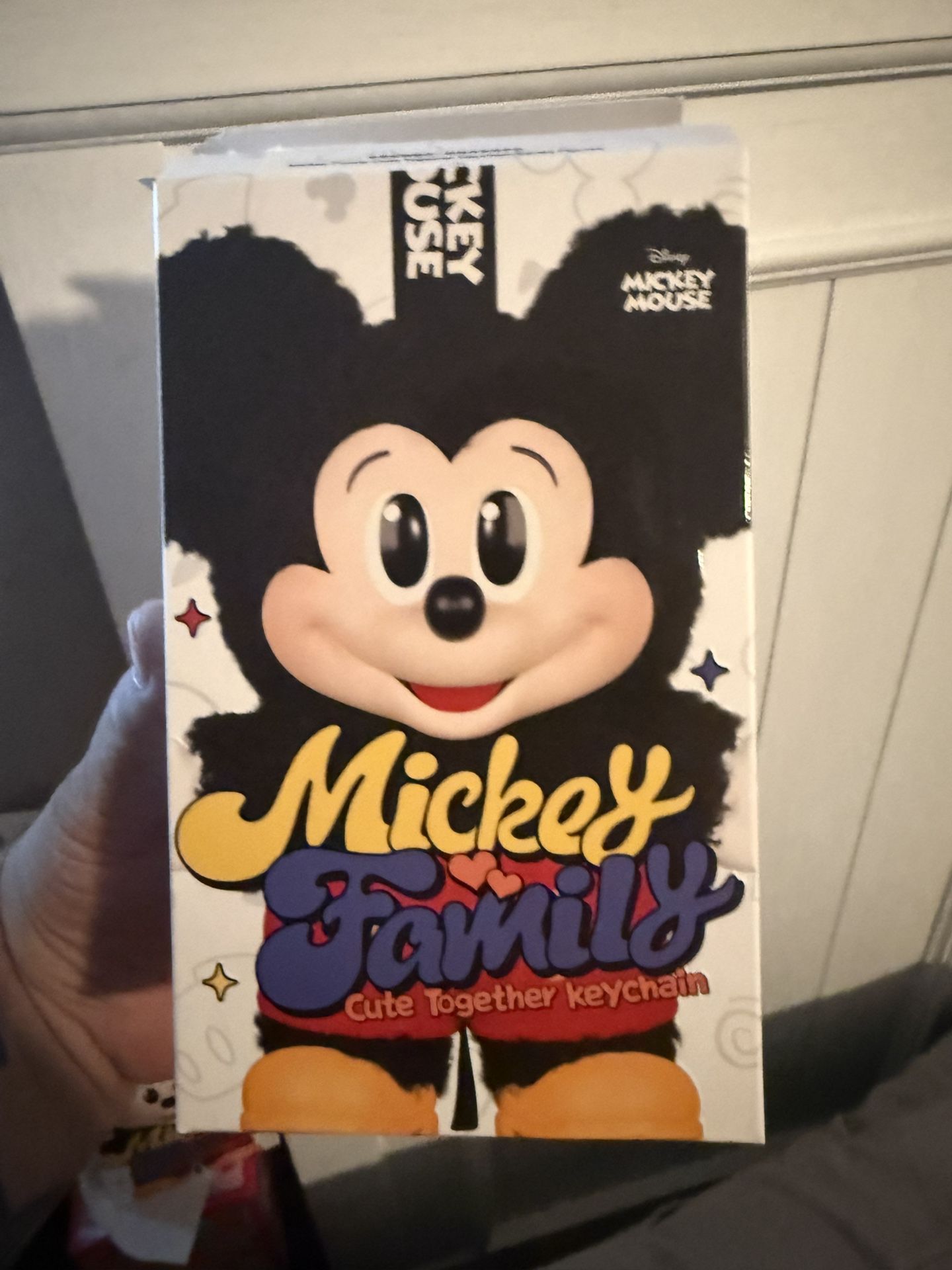 Mickey family