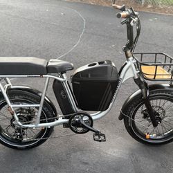 Electric Bike RadRunner Plus