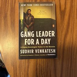 Gang Leader For A Day