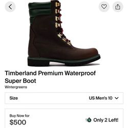 Limited edition Winter Green Timberland 40 below Boots