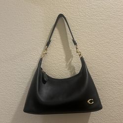 Juliet Coach Bag
