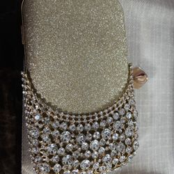 Indian Party Wear Clutch Bag 