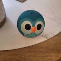 Amazon Echo Dot Kids 