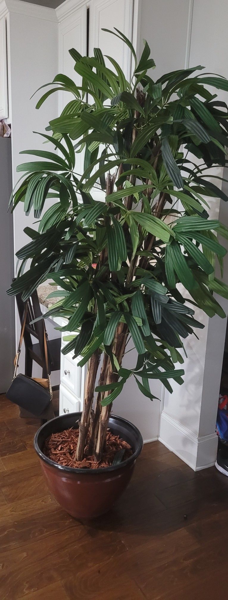 Artificial House Plant