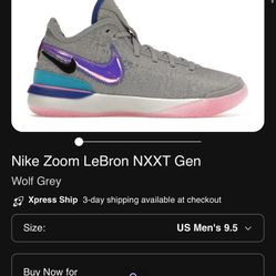 Nike Zoom LeBron NXXT Gen Wolf Grey