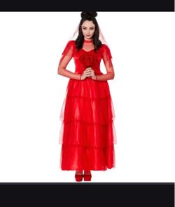 Adult Beetlejuice Costume (Lydia Deetz