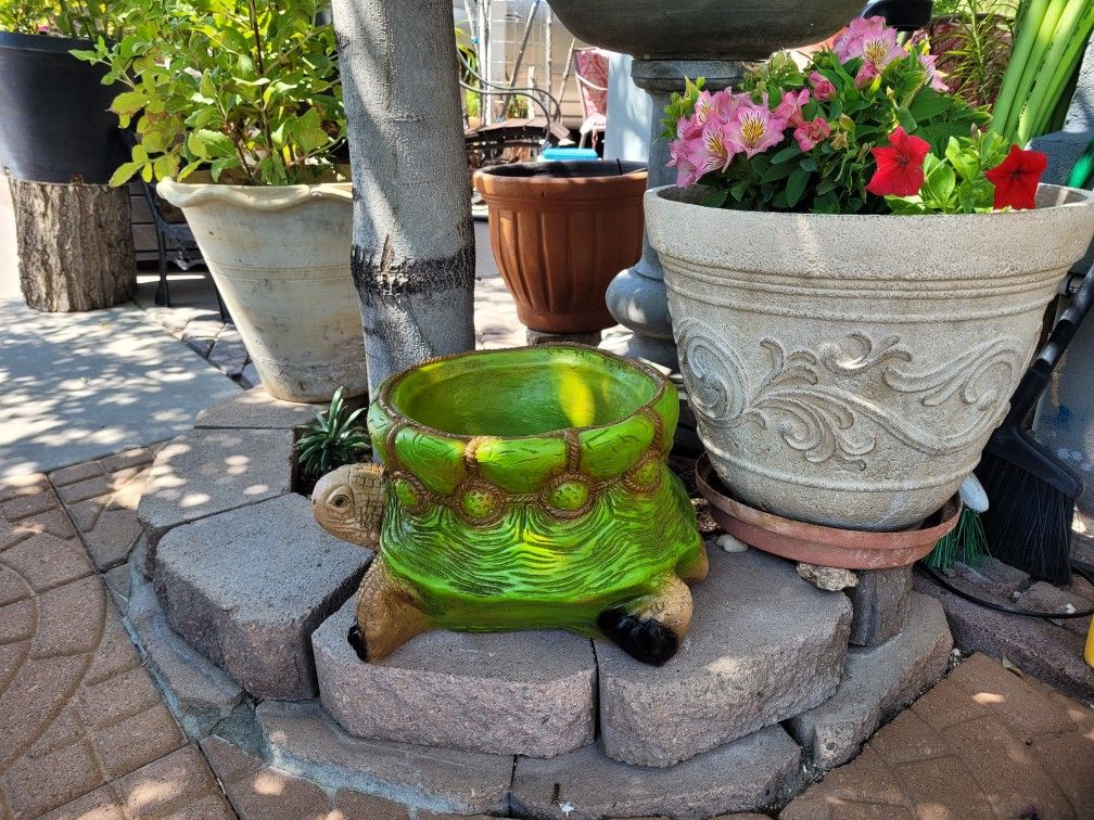 Turtle Pot