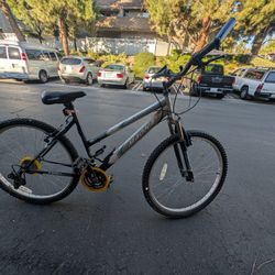 Ladies mountain bike