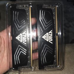 2x 8gb Ram (Forza)
