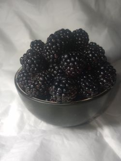 Seedless Blackberries