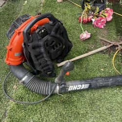 Echo Leaf Blower 