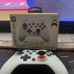 Nintendo switch pro controller