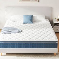 Queen Hybrid Mattress 
