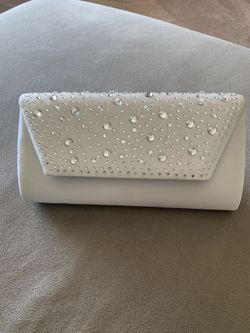 Purse/Clutch