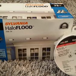 Electrical Box & 2Pk HaloFlood Bulbs