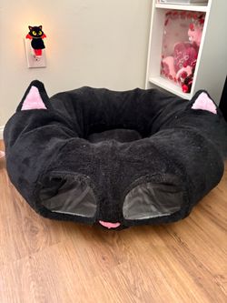 Cat Tunnel and Collar