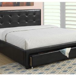 Full Black Euro Plain With Ortho Matres!