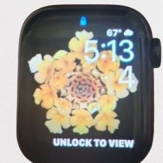 Apple Watch Sapphire Series 7
