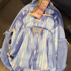 High Sierra backpack Blue striped