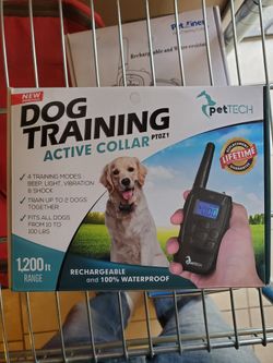 Dog Training Active Collar