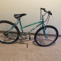 Bike 26 