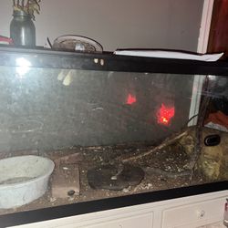 Reptile Tank 75 Gallon