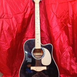 Esteban acoustic electric guitar