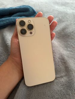 iPhone 13 Pro Max
