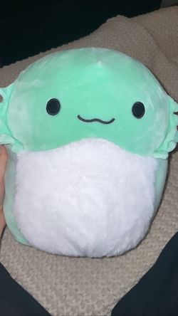 Squishmallow 