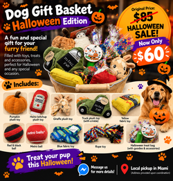 HALLOWEEN DOG GIFT BASKET – BRAND NEW! $60
