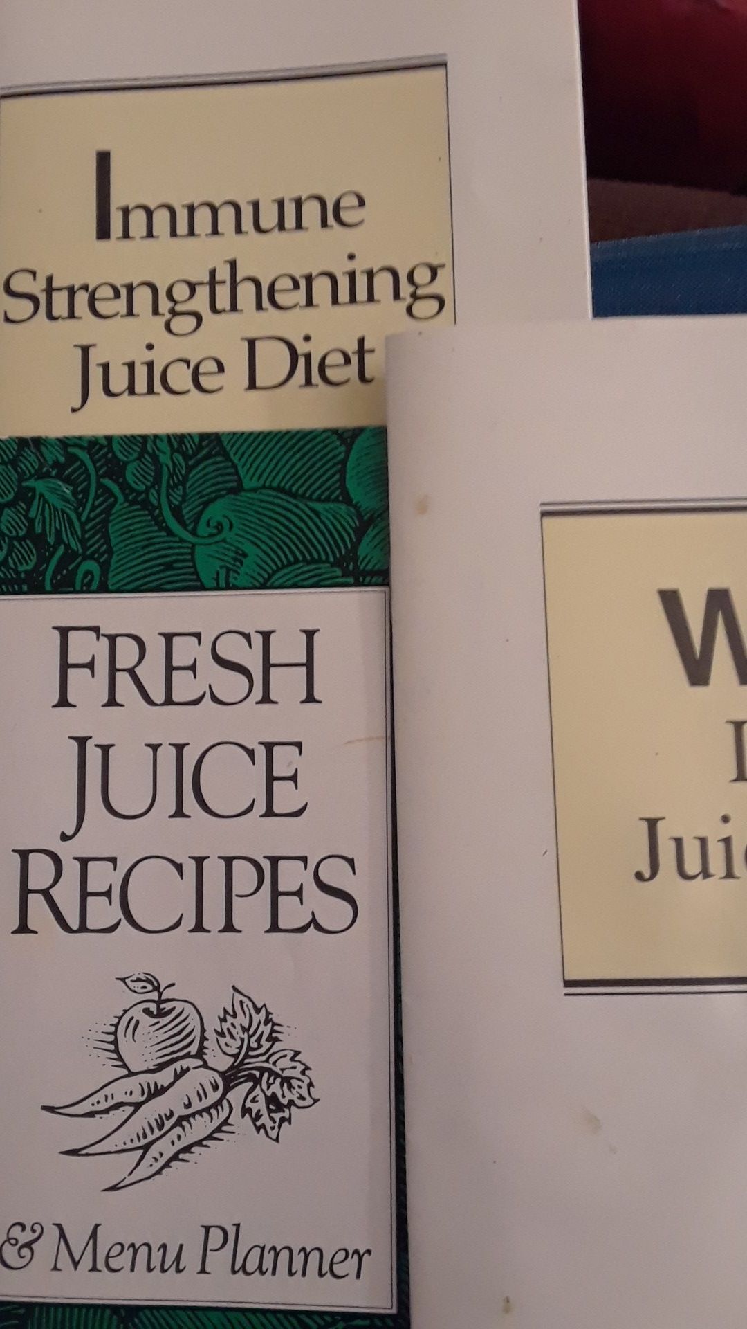 Juicing Recipes and Guides, 4 ct.