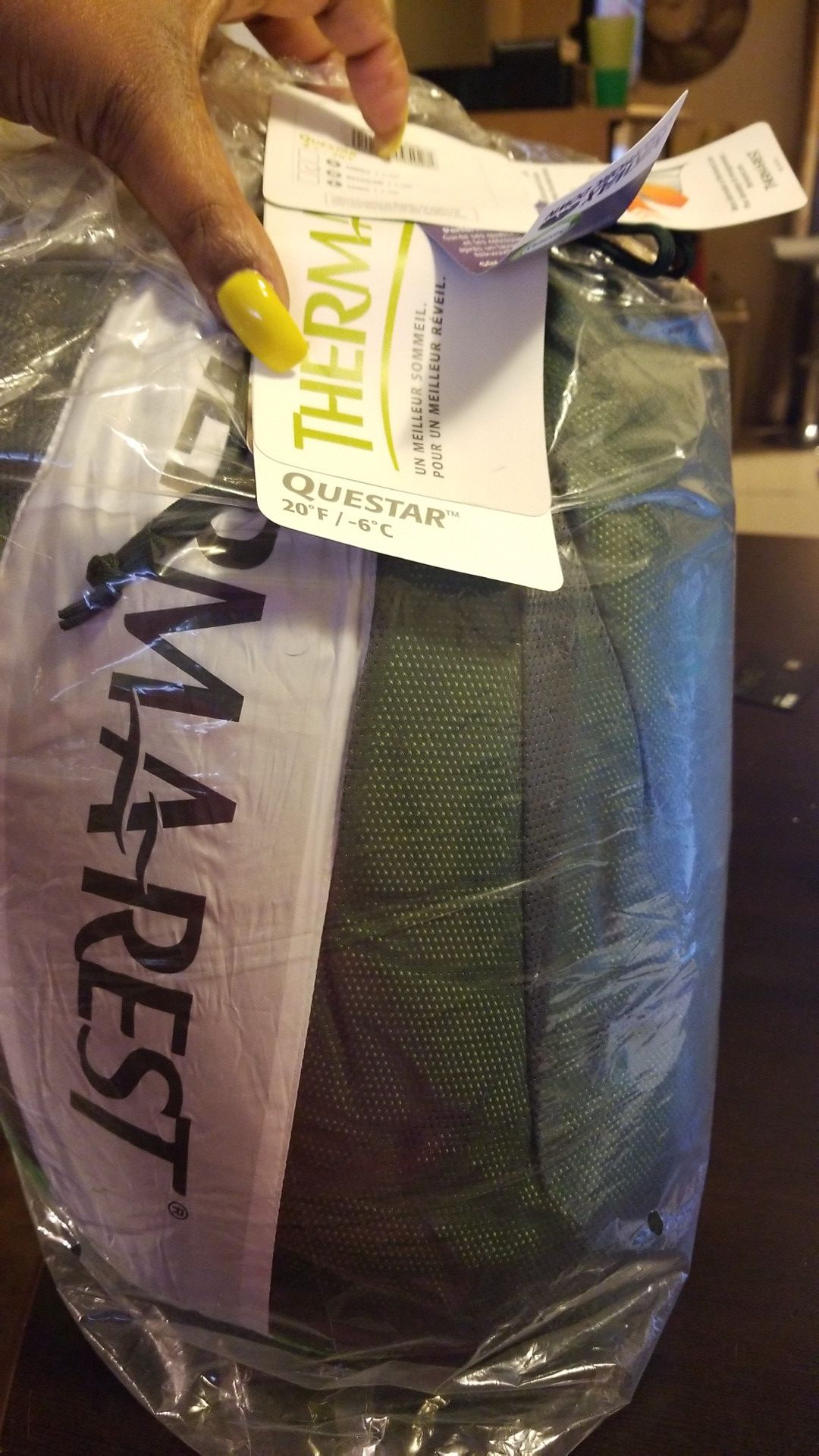 Questar Sleeping Bag: 20 Degree Down - Gemini Green Size Regular