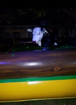 Renta De Toro Mecánico🐃🦬🤠