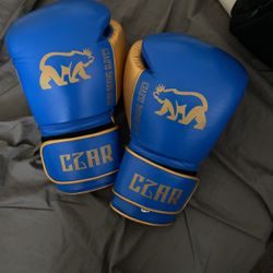 Boxing Gloves 