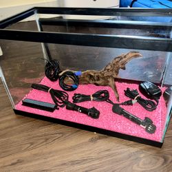 10g Tank For Fish / Reptile / Or any Pet