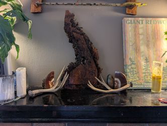 Wood Burned Art Piece.