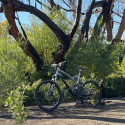 Specialized Stumpjumper Comp 