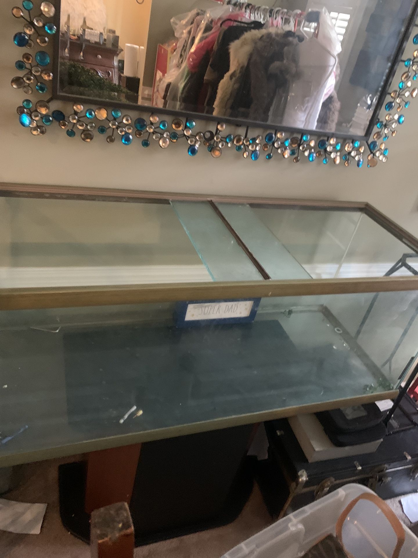 Fish tank