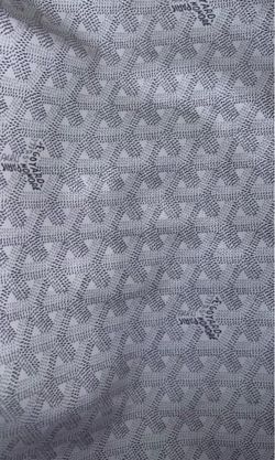 Red Goyard Purse *READ BIO*