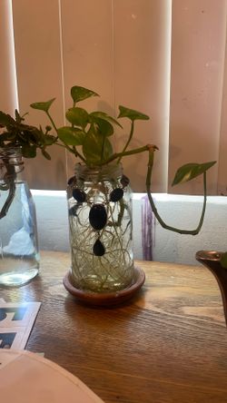water plant thriving!